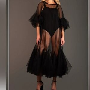 Anthropologie Maeve Sheer Tulle Dress NWT OS